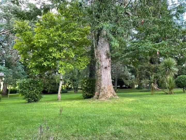 Bed and Breakfast Les Demeures De La Laigne Allas-Bocage Esterno foto