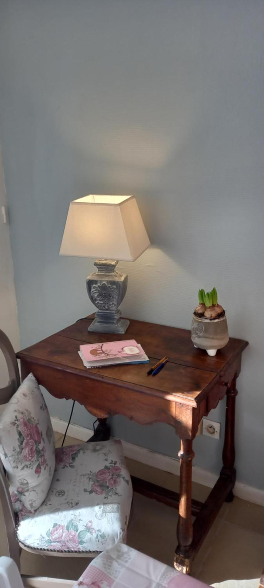 Bed and Breakfast Les Demeures De La Laigne Allas-Bocage Esterno foto