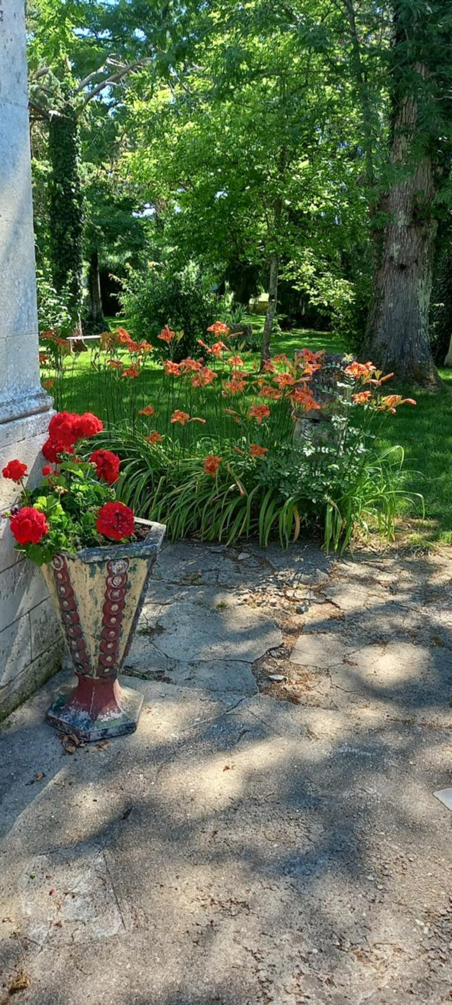 Bed and Breakfast Les Demeures De La Laigne Allas-Bocage Esterno foto