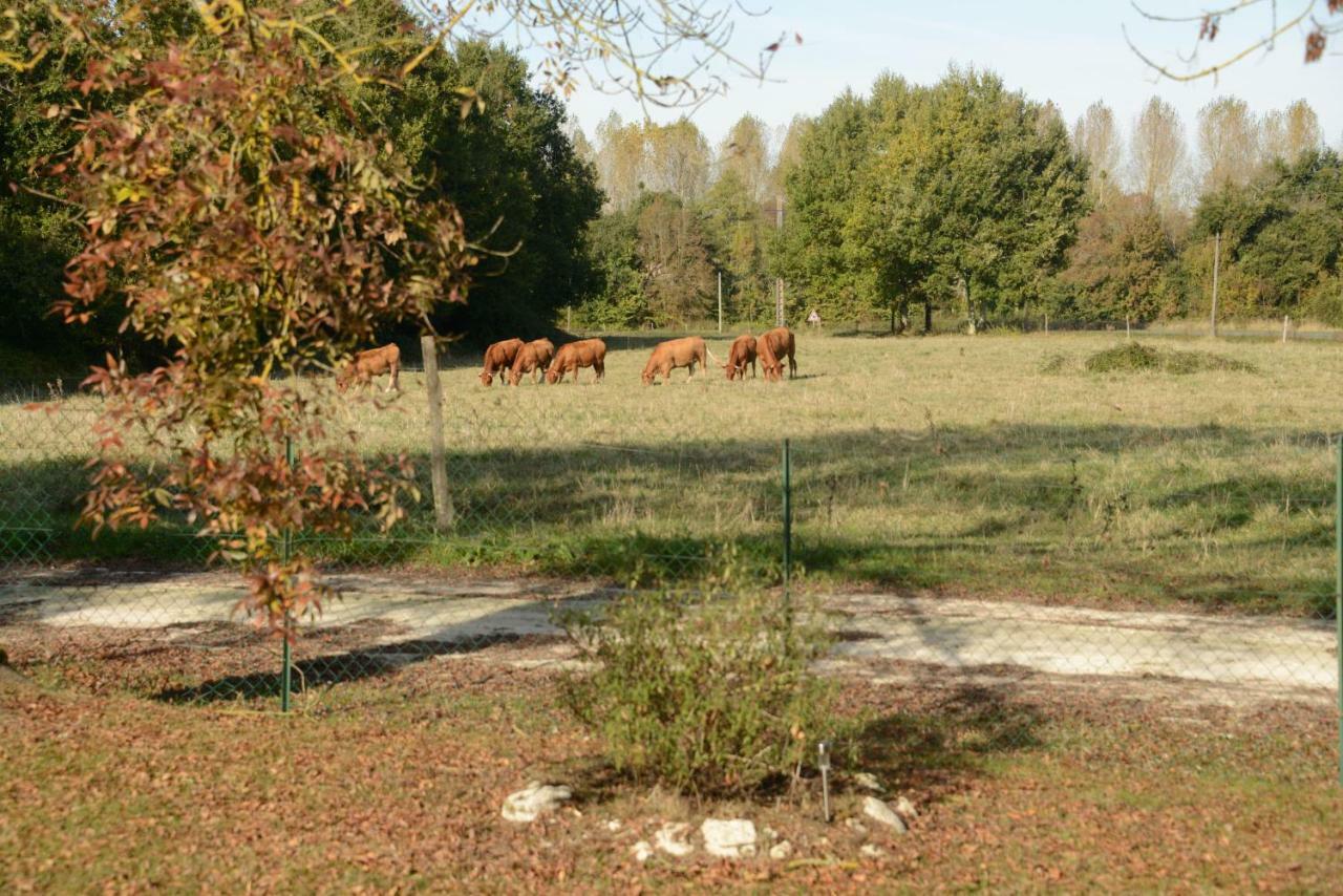 Bed and Breakfast Les Demeures De La Laigne Allas-Bocage Esterno foto